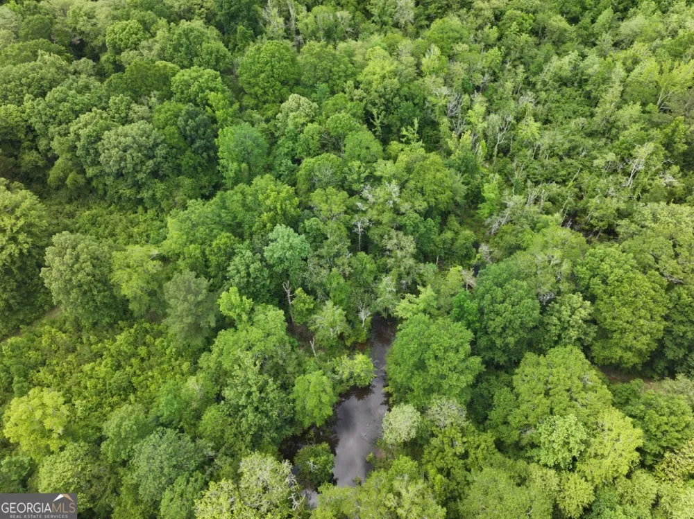0 County Road 231 Abbeville, AL 36310
