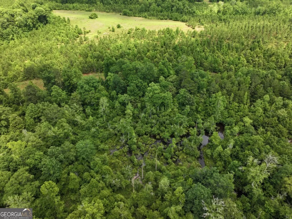 0 County Road 231 Abbeville, AL 36310