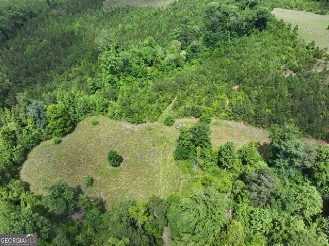 0 County Road 231 Abbeville, AL 36310