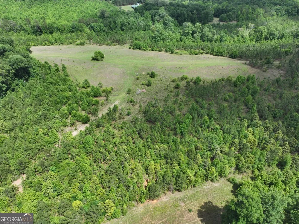 0 County Road 231 Abbeville, AL 36310
