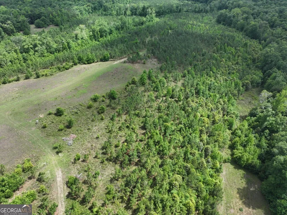 0 County Road 231 Abbeville, AL 36310