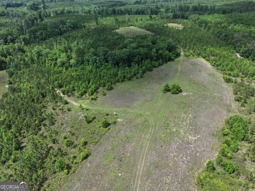 0 County Road 231 Abbeville, AL 36310
