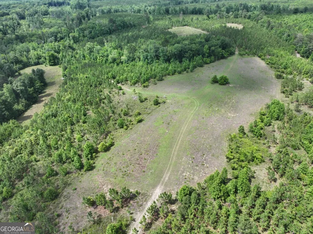 0 County Road 231 Abbeville, AL 36310