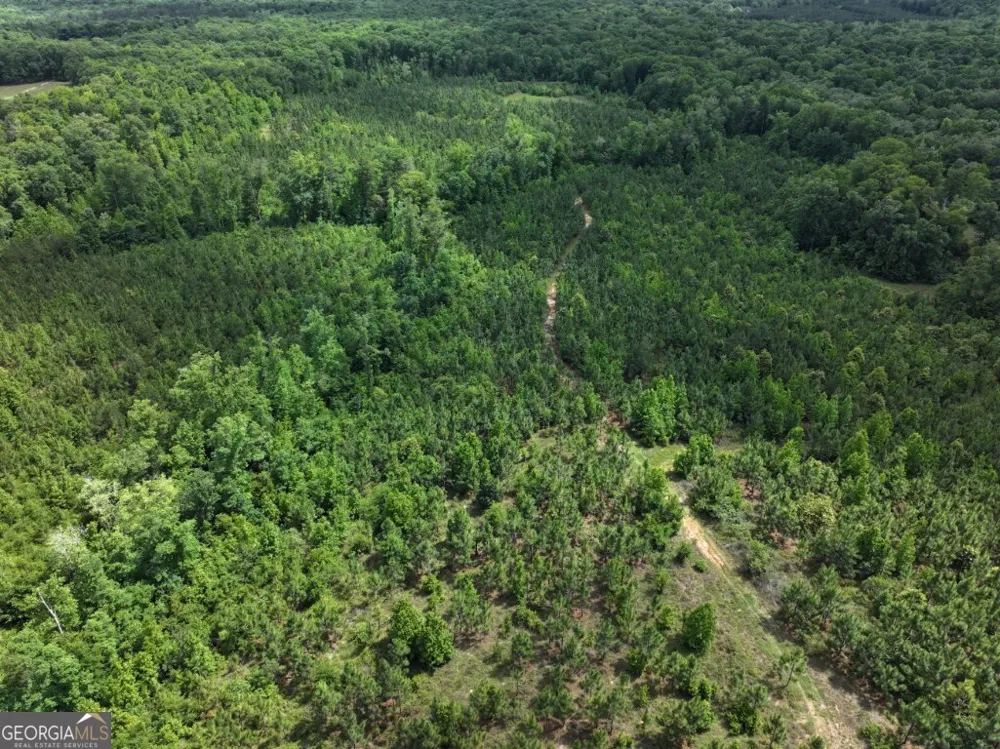 0 County Road 231 Abbeville, AL 36310