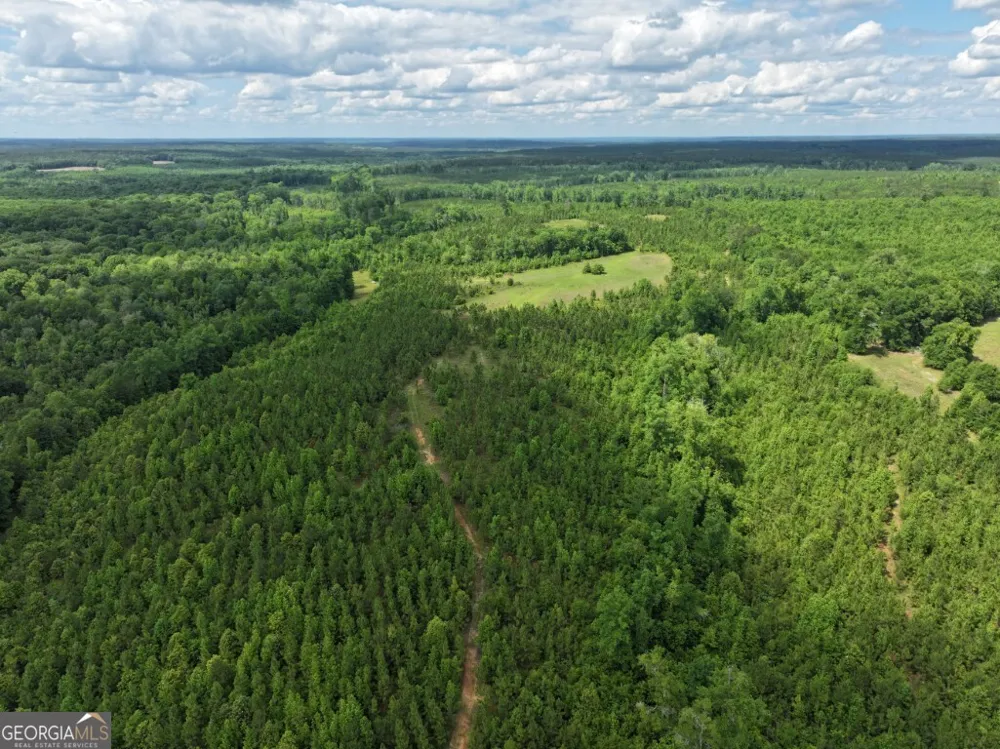 0 County Road 231 Abbeville, AL 36310