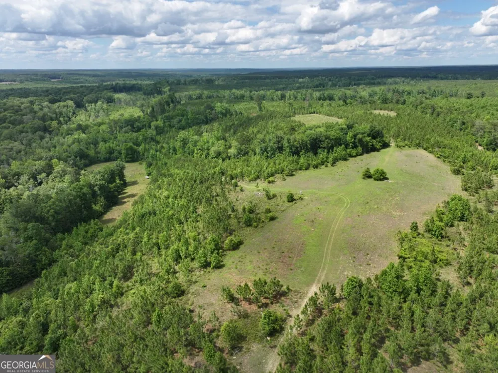 0 County Road 231 Abbeville, AL 36310
