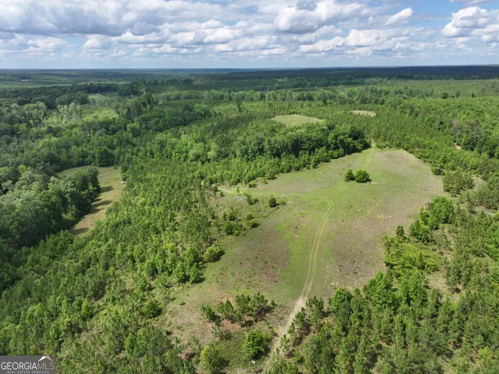 0 County Road 231 Abbeville, AL 36310