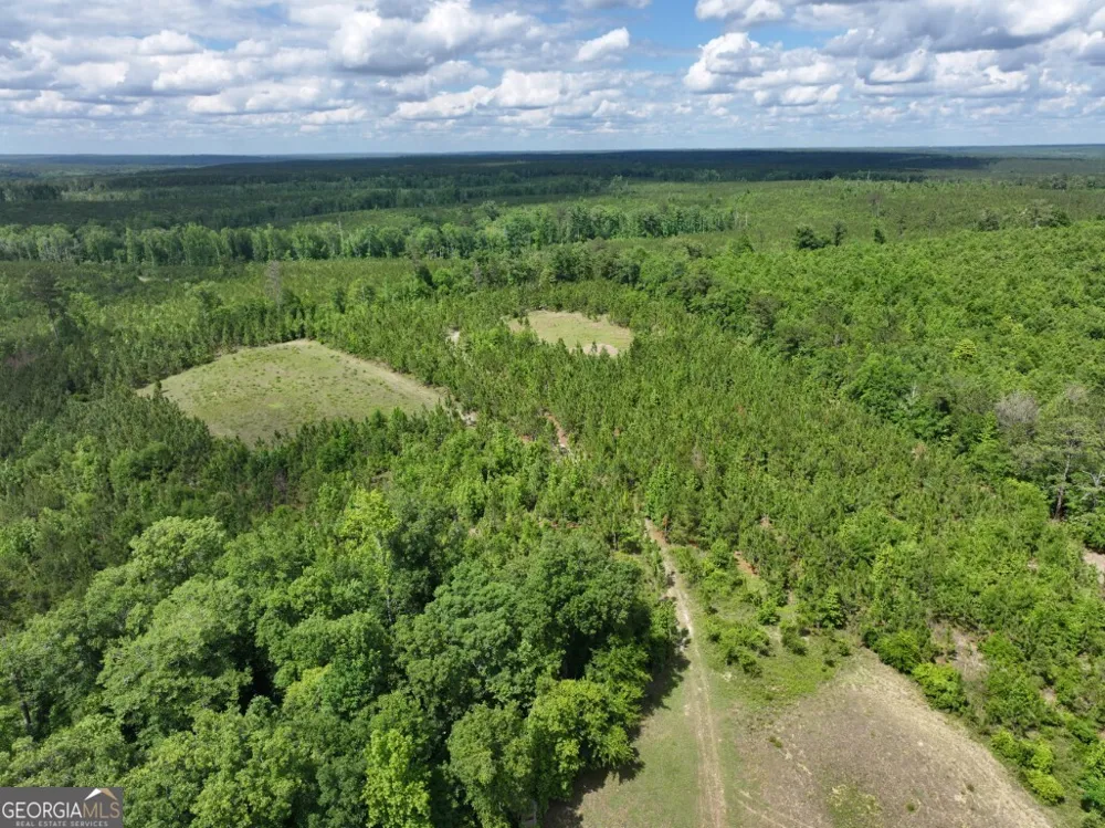 0 County Road 231 Abbeville, AL 36310