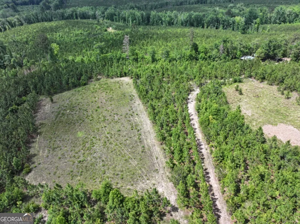 0 County Road 231 Abbeville, AL 36310
