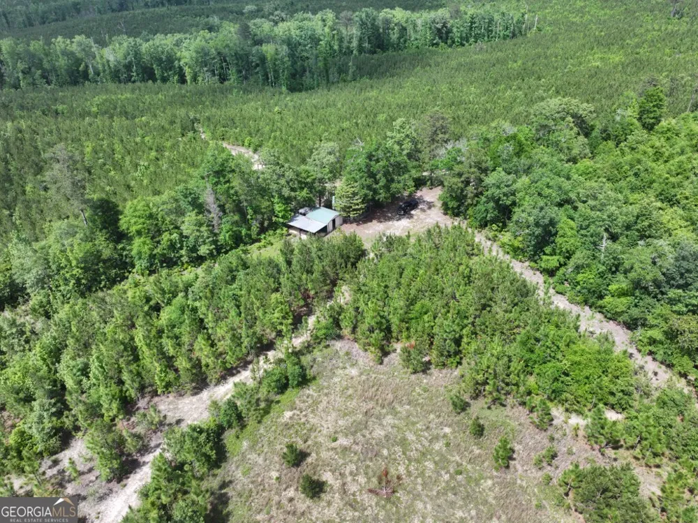 0 County Road 231 Abbeville, AL 36310