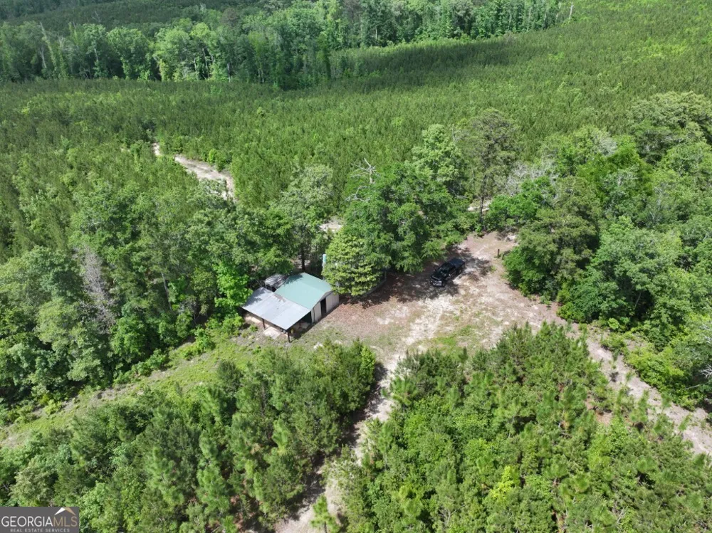 0 County Road 231 Abbeville, AL 36310