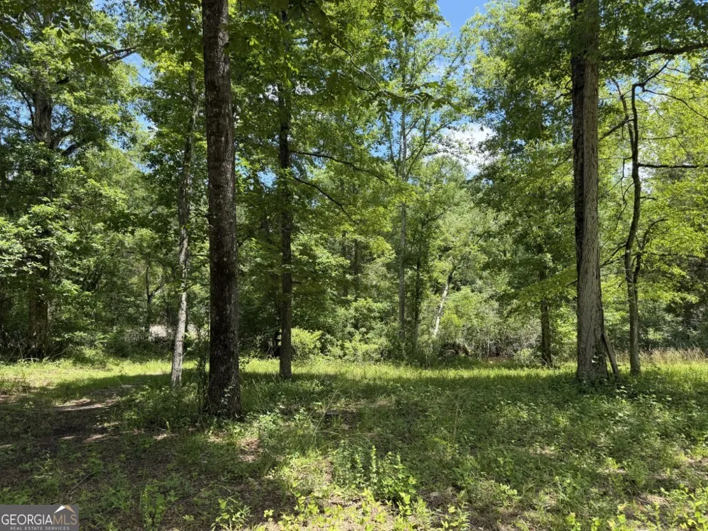 0 County Road 231 Abbeville, AL 36310