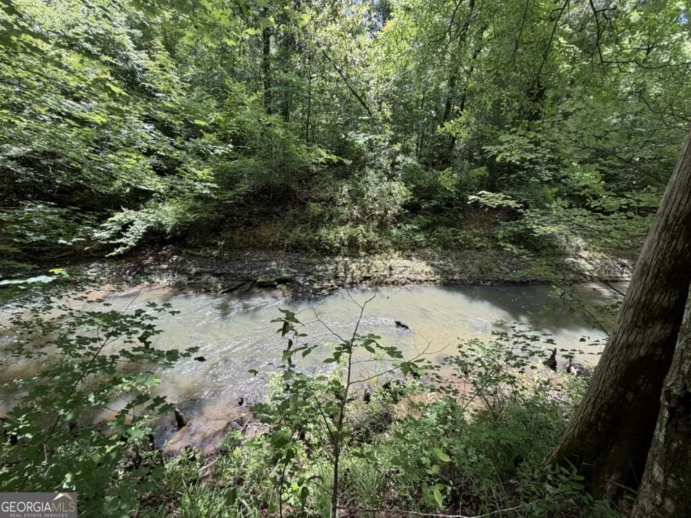 0 County Road 231 Abbeville, AL 36310