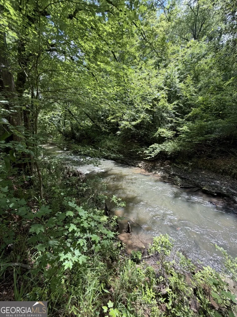 0 County Road 231 Abbeville, AL 36310