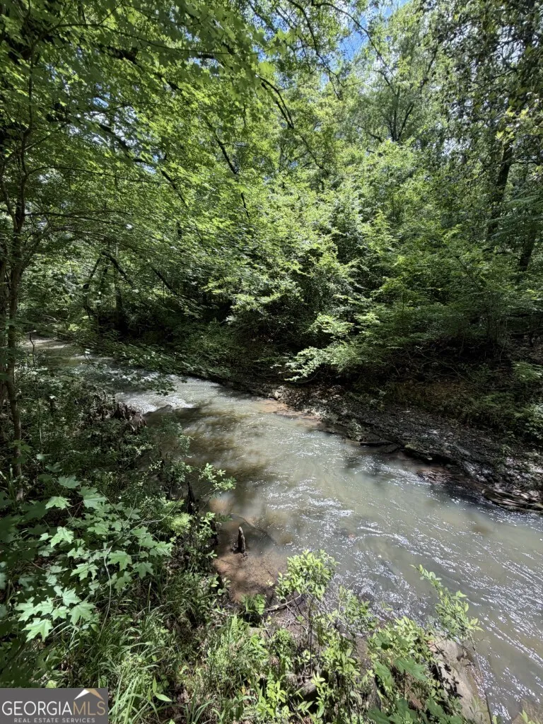 0 County Road 231 Abbeville, AL 36310