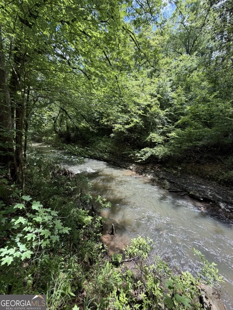 0 County Road 231 Abbeville, AL 36310