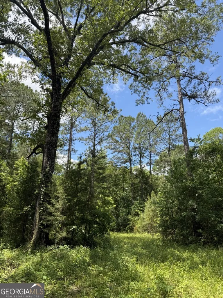 0 County Road 231 Abbeville, AL 36310