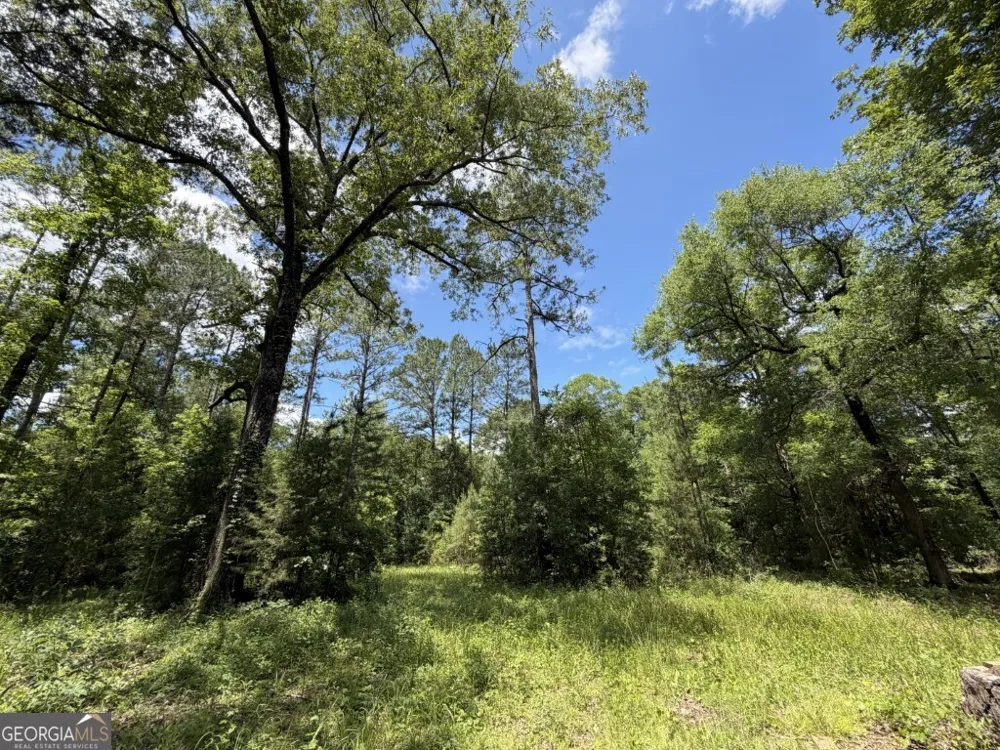 0 County Road 231 Abbeville, AL 36310