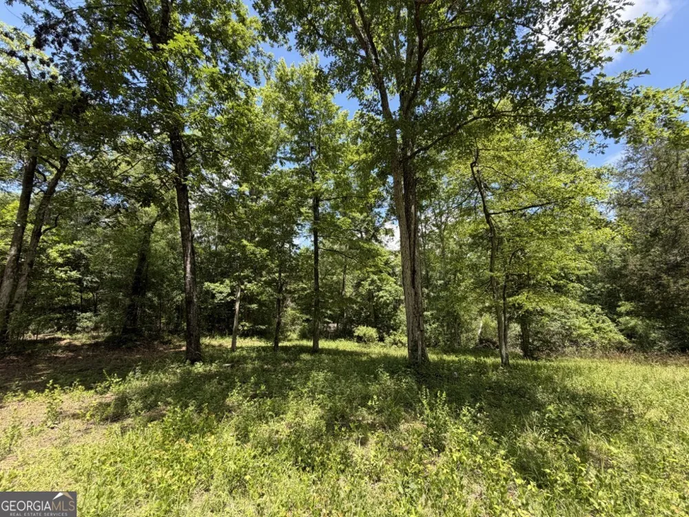 0 County Road 231 Abbeville, AL 36310
