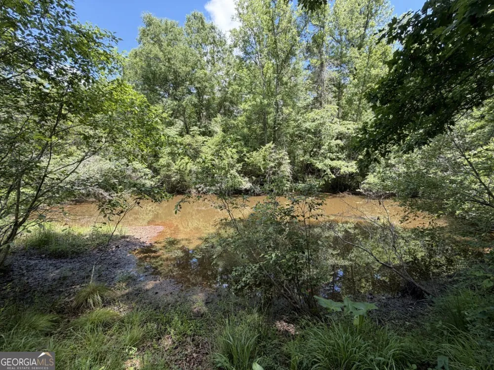 0 County Road 231 Abbeville, AL 36310