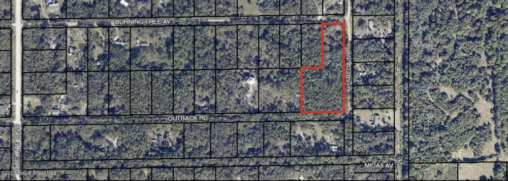 Burning Tree Avenue Cocoa, FL 32926