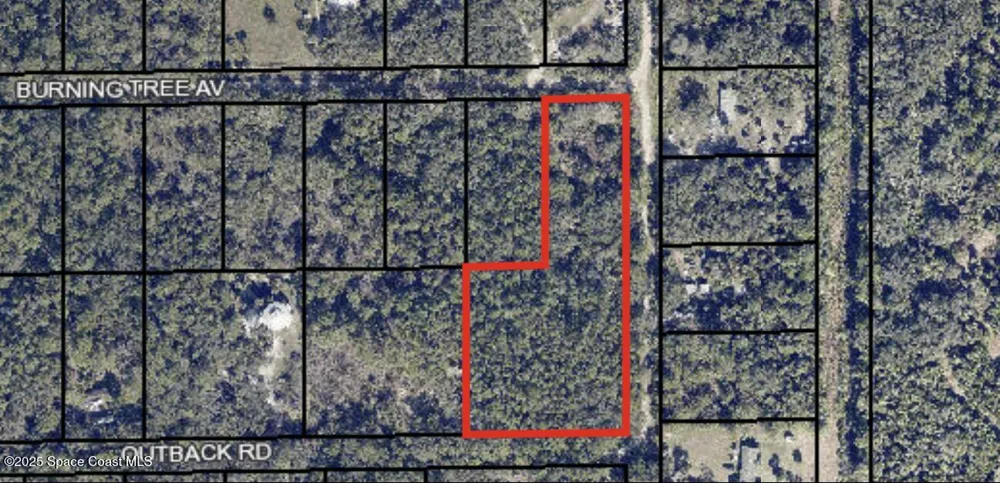 Burning Tree Avenue Cocoa, FL 32926