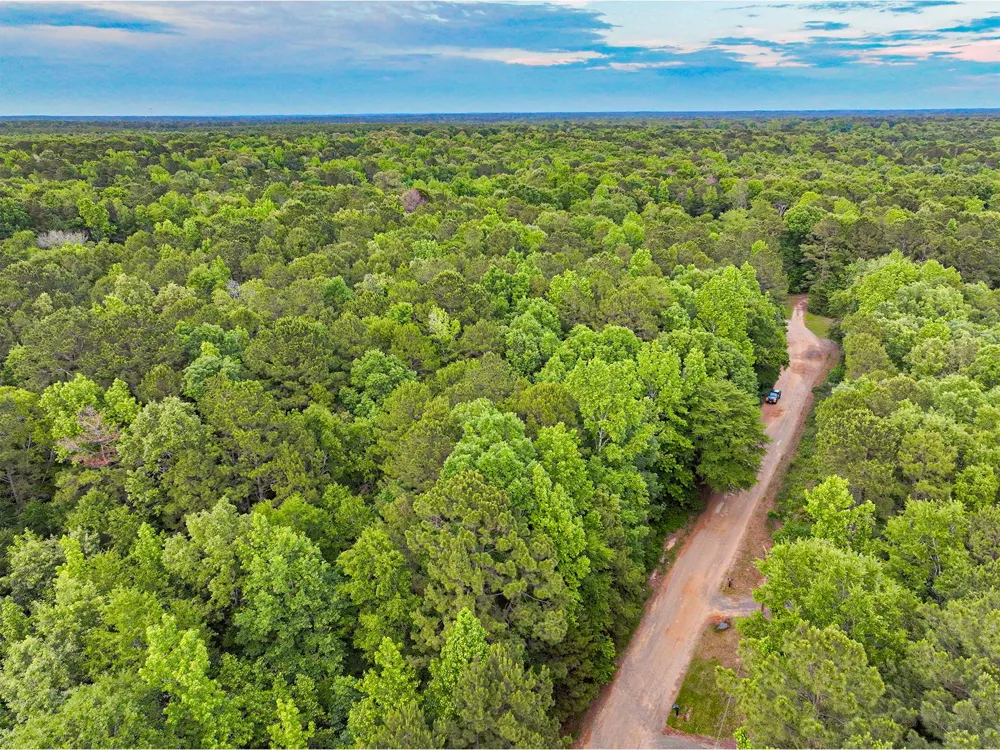 Pr 2702 Waskom, TX 75692