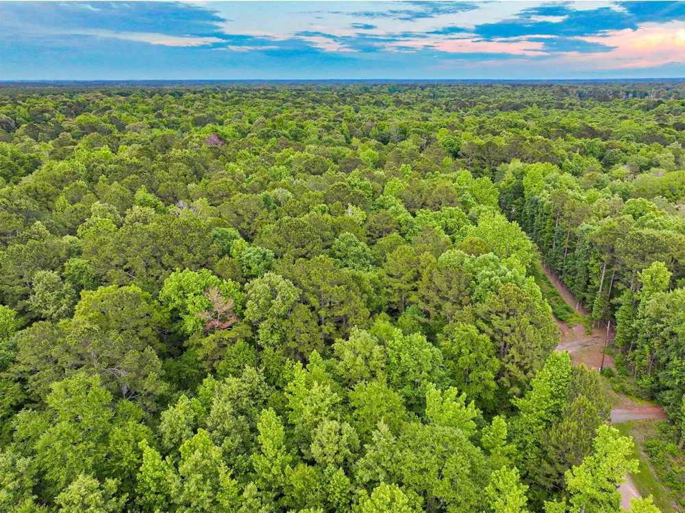 Pr 2702 Waskom, TX 75692
