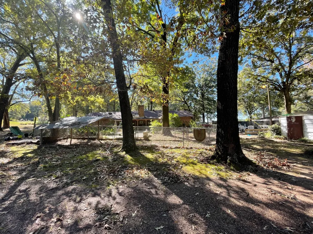 1203 CR 1127 Daingerfield, TX 75638