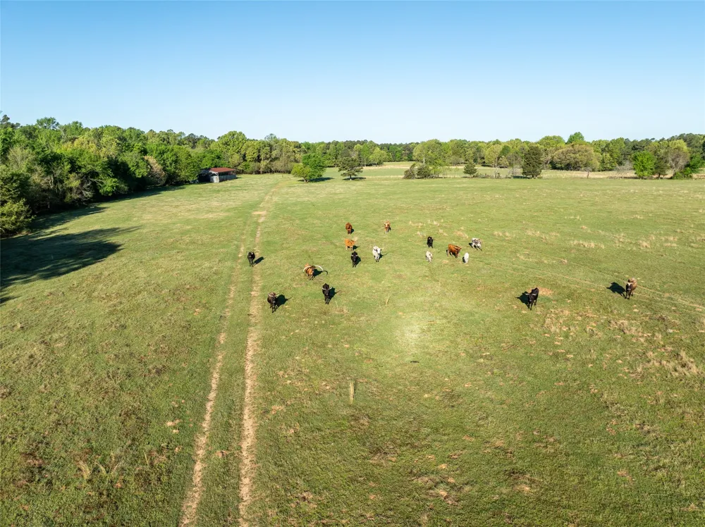State Hwy 147 Sawyer, OK 74756
