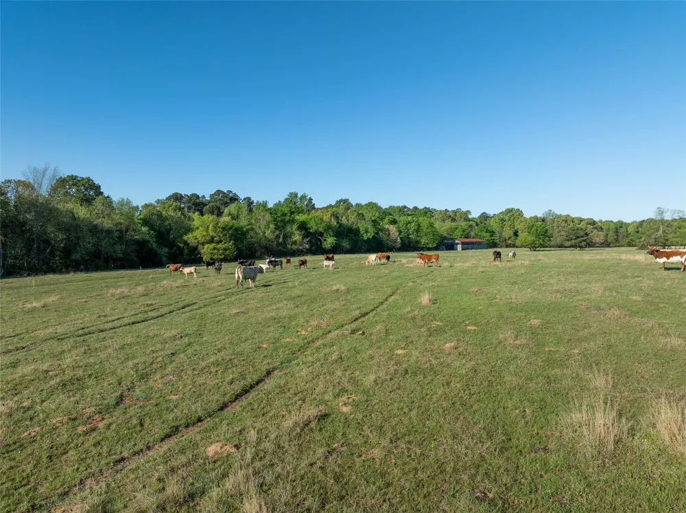 State Hwy 147 Sawyer, OK 74756