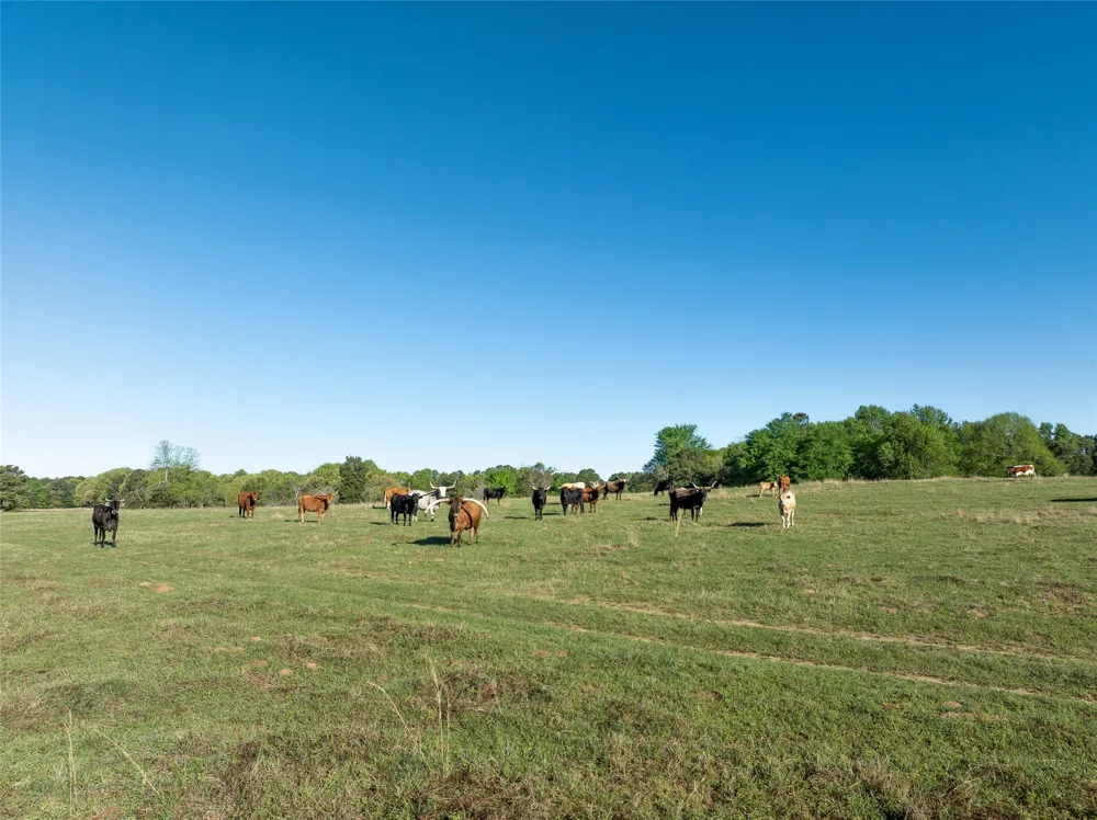 State Hwy 147 Sawyer, OK 74756