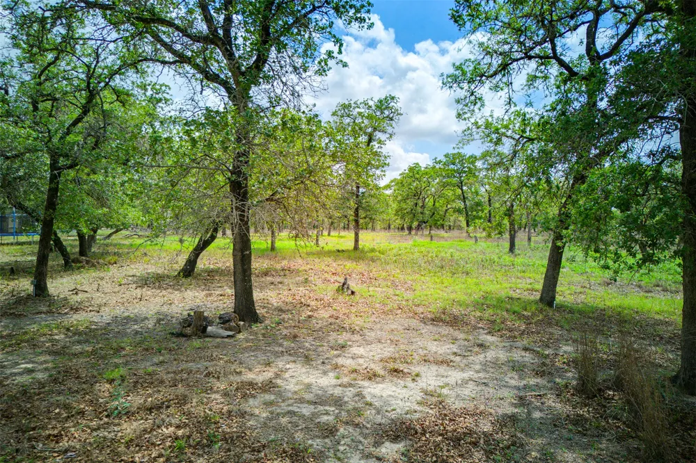 501 Turkey Tree Trail Seguin, TX 78155