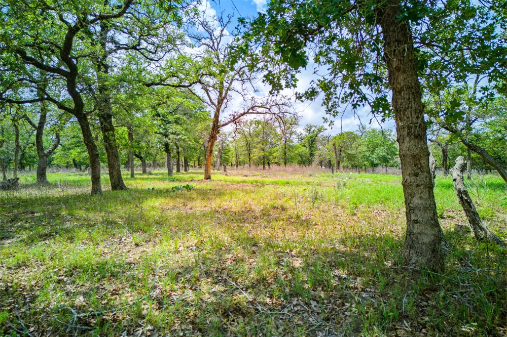 501 Turkey Tree Trail Seguin, TX 78155