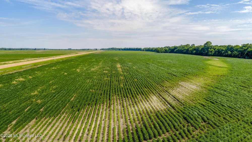 Highway 3 Tunica, MS 38676