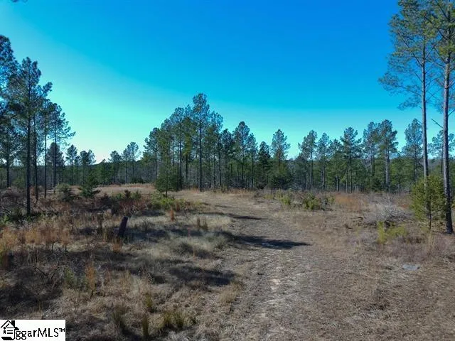 0 Fields Road Pauline, SC 29374
