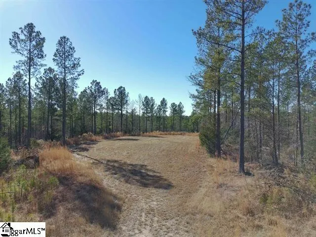 0 Fields Road Pauline, SC 29374