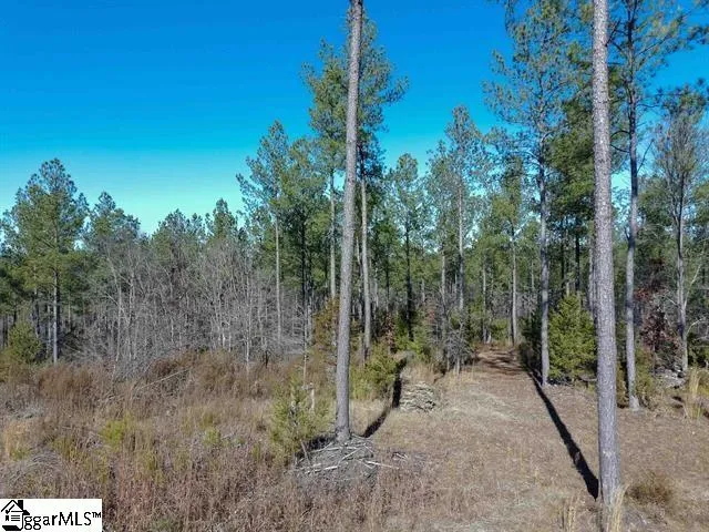 0 Fields Road Pauline, SC 29374