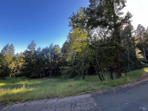 26048 Peacock Road