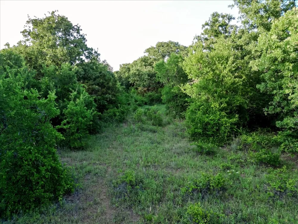 Rambling Road Graford, TX 76486