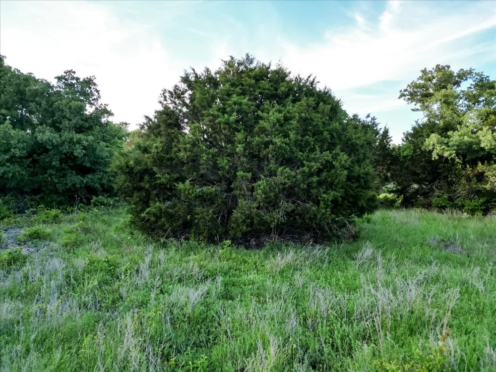 Rambling Road Graford, TX 76486