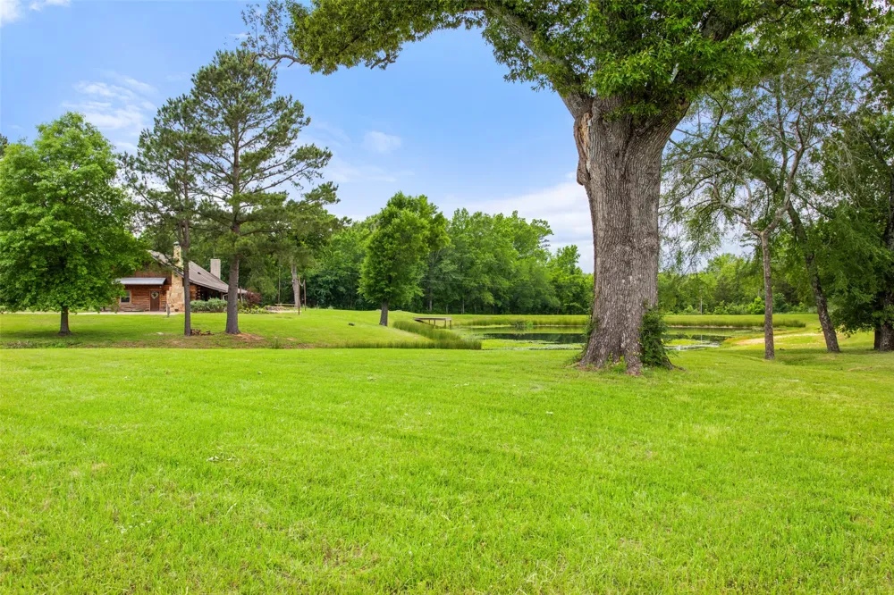 20108 County Road 452 Mineola, TX 75773