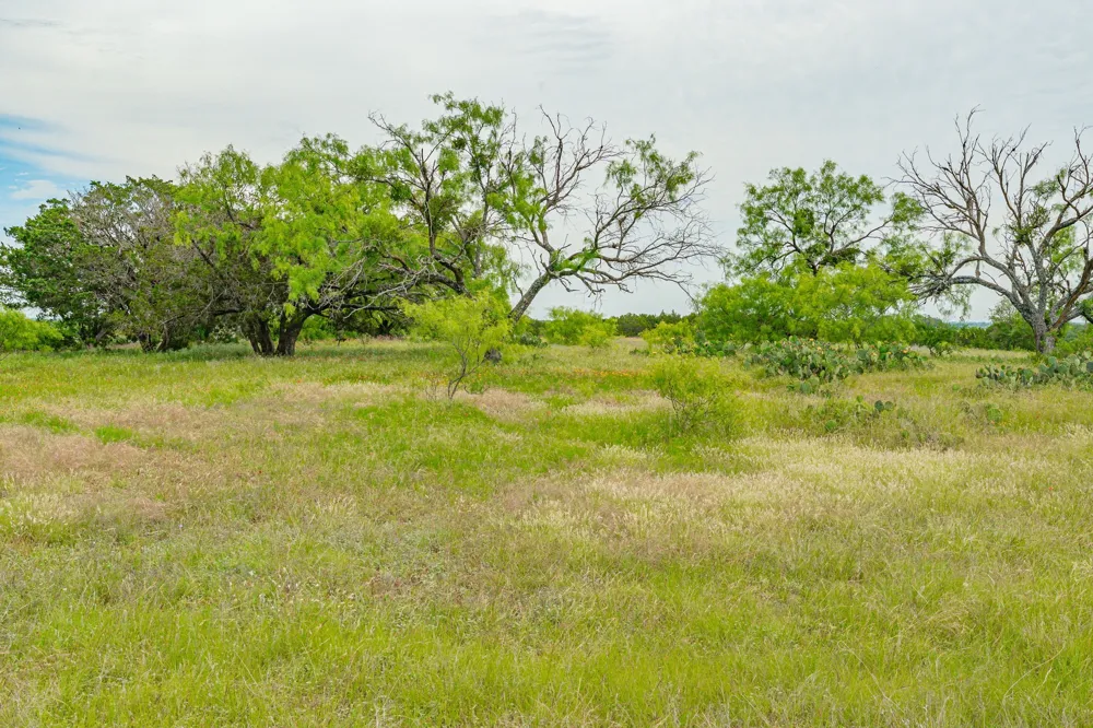31080 W FM 8 Dublin, TX 76446