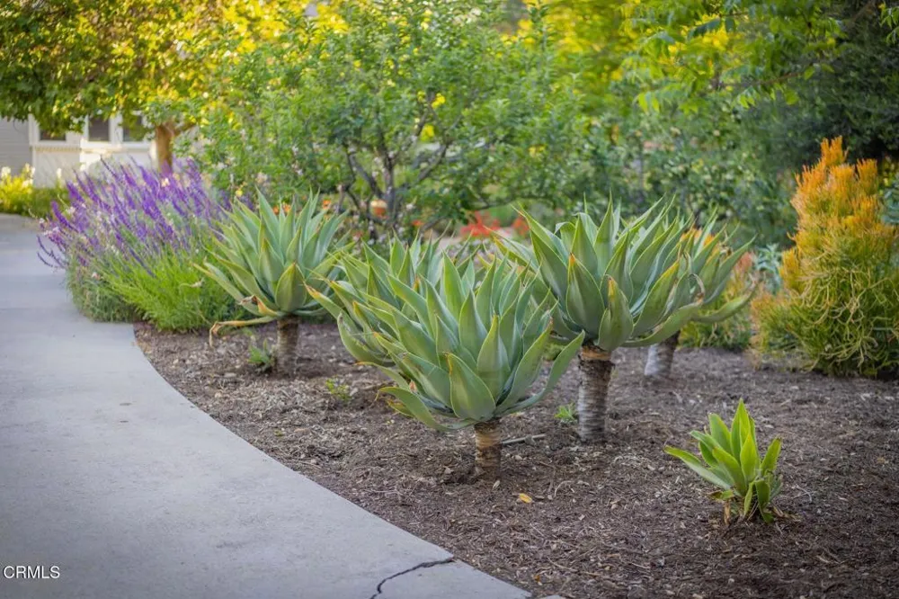 1450 Grand Avenue Ojai, CA 93023