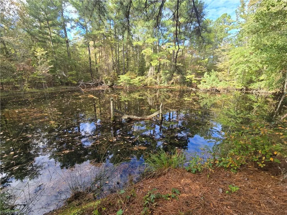 0 Bass Mountain Road Snow Camp, NC 27349