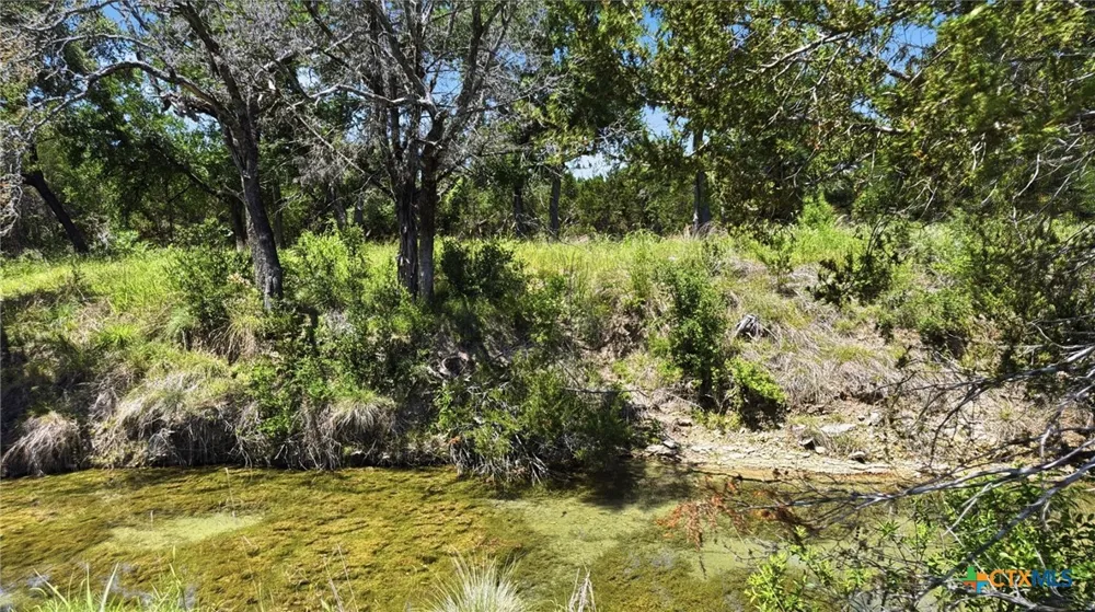 67 Pr 4212 Evant, TX 76566