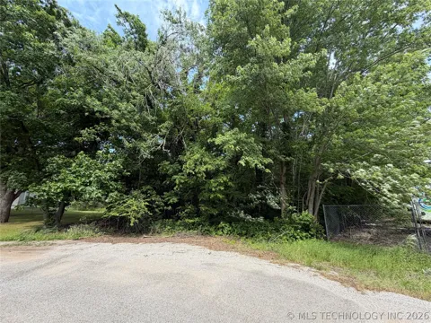 Dogwood Drive