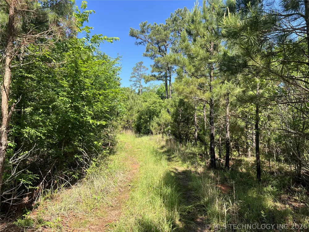 4289 ROAD Clayton, OK 74536