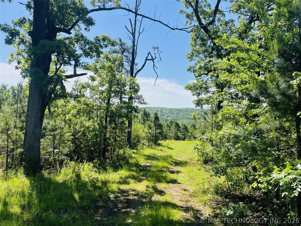 4289 ROAD Clayton, OK 74536