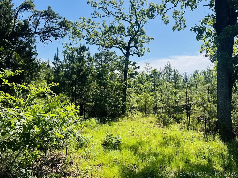 4289 ROAD Clayton, OK 74536